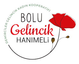 ÜZÜM SİRKESİ 500gr